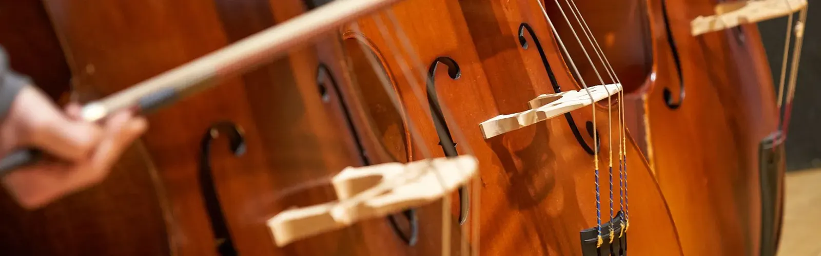Geigen im Musikunterricht